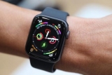 - Apple Watch   ,   